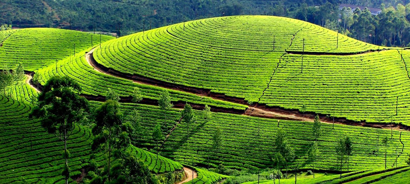 Ooty tour package